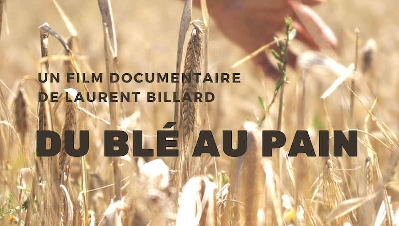 Mardi 08 octobre à 20h30 // CinémAnima // Deux documentaires de Laurent Billard « Du blé au pain » et « Grains de sel ».